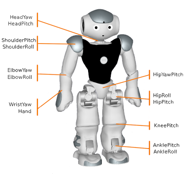 Image of NAO6 degrees of freedom