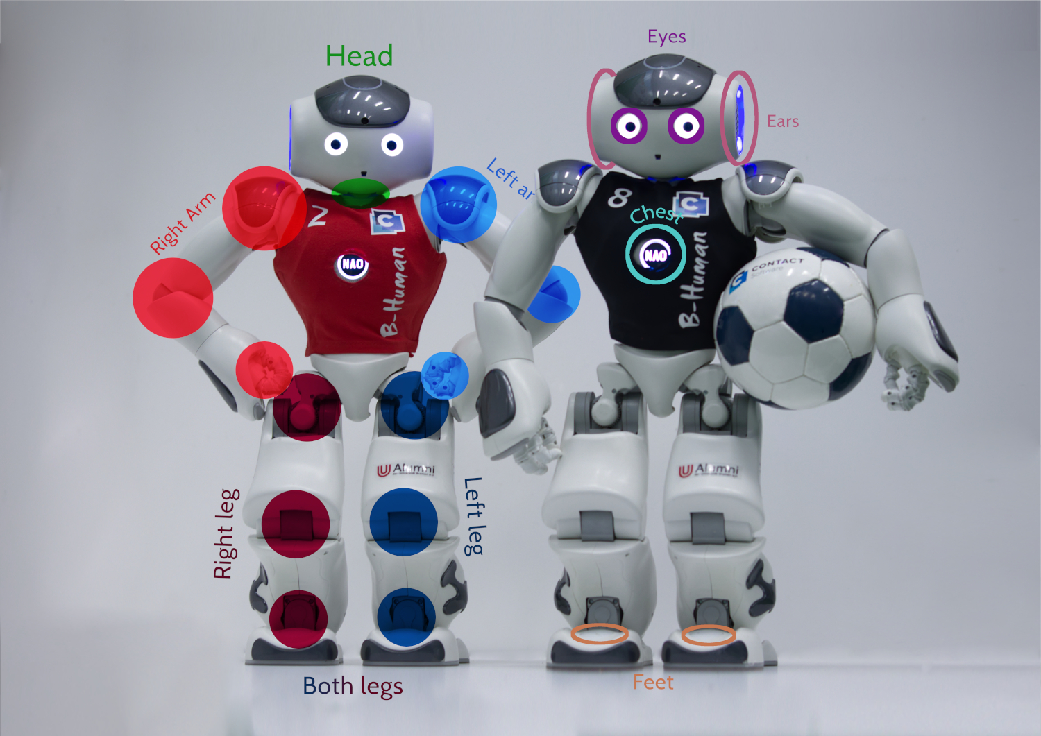 Naos with markings on joint and led groups